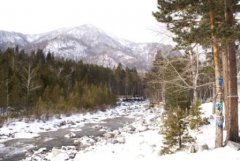 Бурятия. Незамерзающая  горная речушка Кынгырга.