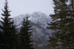 Бурятия. Елки горы охраняют.