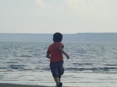 Аральское море 2008г.