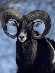 a7d1a687c027.jpg