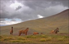 Жайлау - казацкие летние пастбища