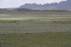 Кос табунщиков.jpg