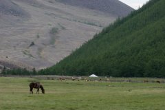 IMG_9469[1].JPG