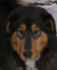 IMGP0194.JPG