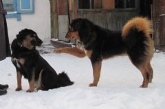 Копия IMG_0805.jpg