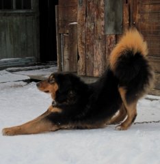 Копия IMG_0827.jpg