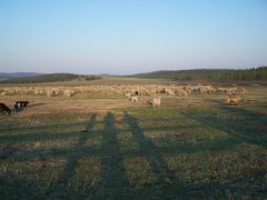 Оротская долина. Бурятия.