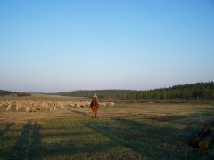 Оротская долина. Бурятия.