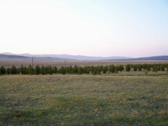 Оротская долина. Бурятия.