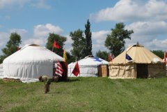 Курултай куманов Венгрии