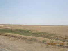 Ладншафт Сарыагашского района ЮКО. Август 2011 г. 