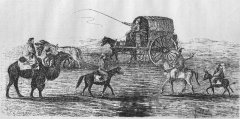 Кашгарцы (1870-е)