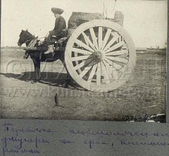 Каракалпакская арба