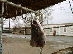 Рыба-жарка, рынок г Нукуса.