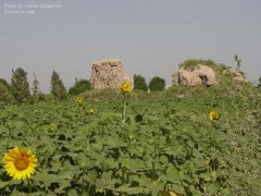 Туризм
