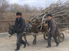 Каракалпаки, сельские местности Каракалпакстана.