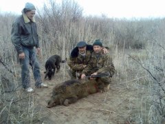 Республика Каракалпакстан.02.01.2010г.Озеро Жалтырбас.jpg
