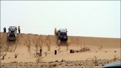 Safari Us'turtte ))).jpg