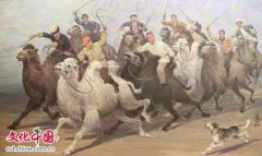 Скачки на верблюдах