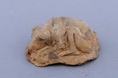 Совместная казахо-монгольская археологическая экспедиция, 2008 г.