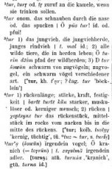 57c069391ff74-Ramstedt-Kalmykisches-Worterbuch411.jpg
