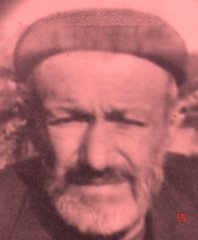 Кубанский ногай