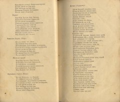 Шора баьтир4.JPG