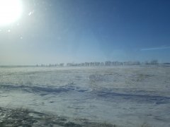 Semei-Barnaul steppe.jpg