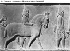 саки