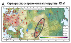 карта