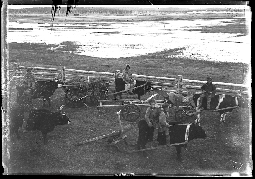 42_0_be4aa_1bacb105_orig.jpeg.d35609f7269417544e3a1f673265c524.jpeg