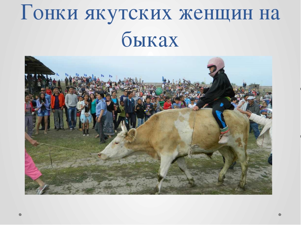 img6.jpg.f3ad8399673e593963aca226e47af988.jpg
