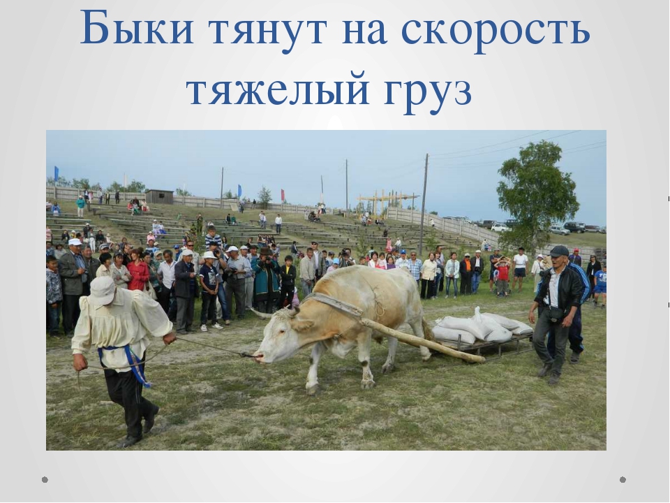 img7.jpg.bc5742b8b8c17eecb43160c47b90411c.jpg