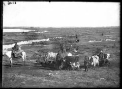 42_0_be470_7a76c231_orig.jpeg