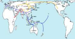 Haplogroup_C_(Y-DNA)_2017.png