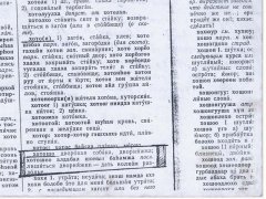 хотошо.jpg
