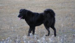 Долина осенью. 843.jpg