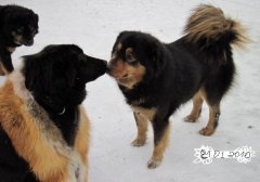 Копия купчихи 446.jpg