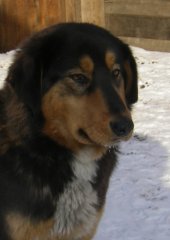 Копия IMGP0182.JPG