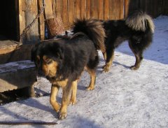 IMGP0109.JPG