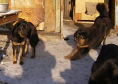 IMGP0122.JPG
