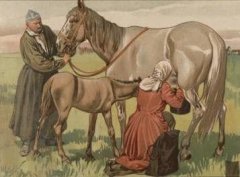 Башкиры. Дойка кобылицы.  Литография по акварели А. Докучаева. Москва. 1904 год.