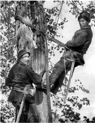 Фотография конца XIX - нач. ХХ веков. Башкиры. Пчеловоды (бортники).