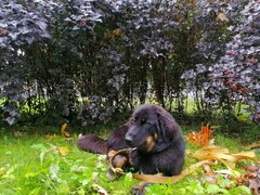 IMG_20200830_171304.jpg