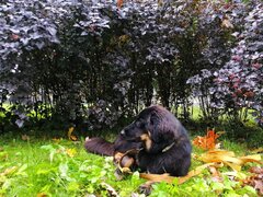 IMG_20200830_172233.jpg