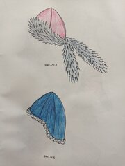 IMG_20210929_191230.jpg