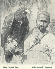 Узбек-беркутчи
