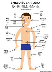 Bodyparts in Sumerian
