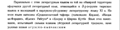 Условный язык
