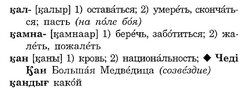 камна забота.jpg